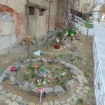 ???????????????????????????????